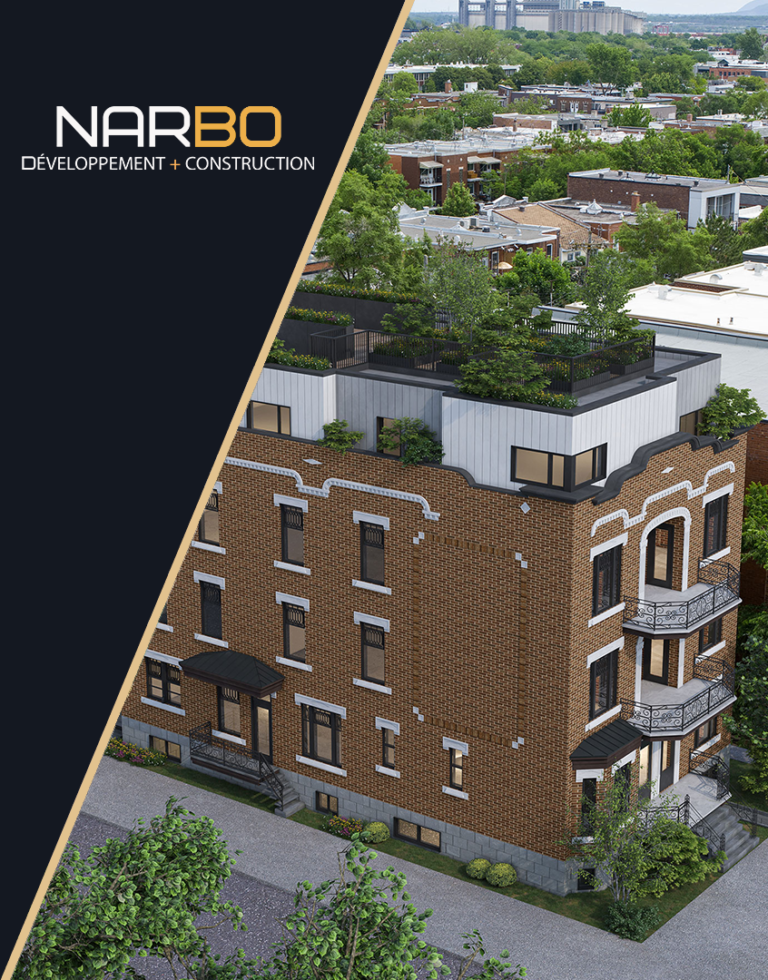 Development vision